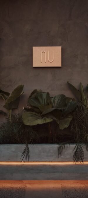 IO7A7319-scaled-595x893